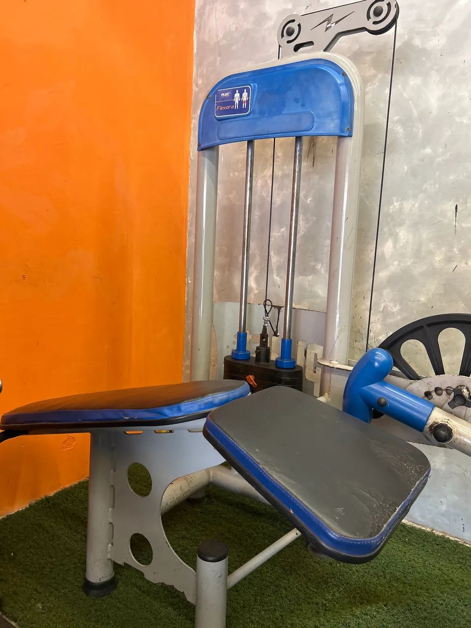 Flexora deitada musculação  - Foto 2