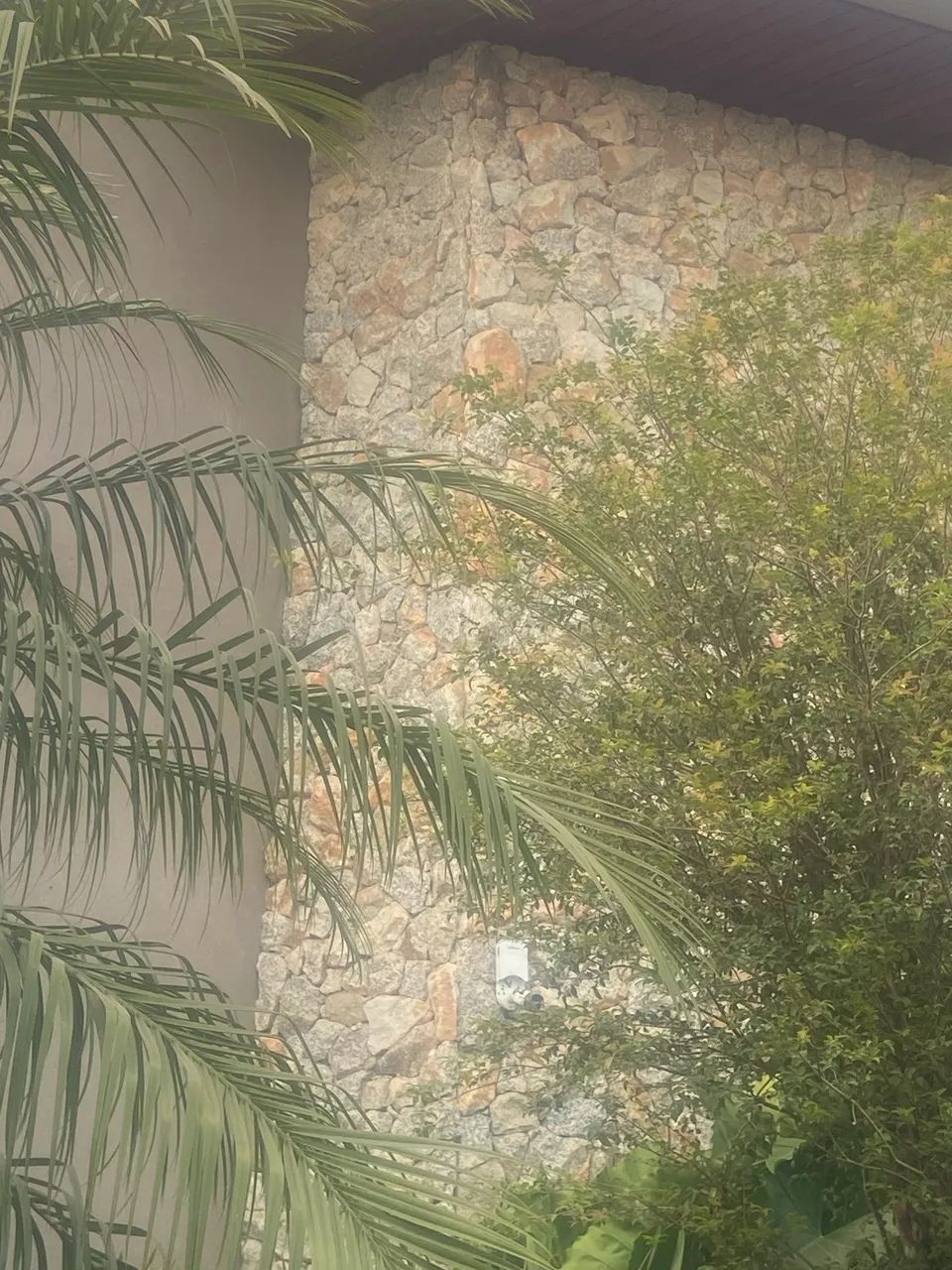 Quer transformar a fachada da sua casa, a área da piscina ou aquela parede da sala - Foto 4
