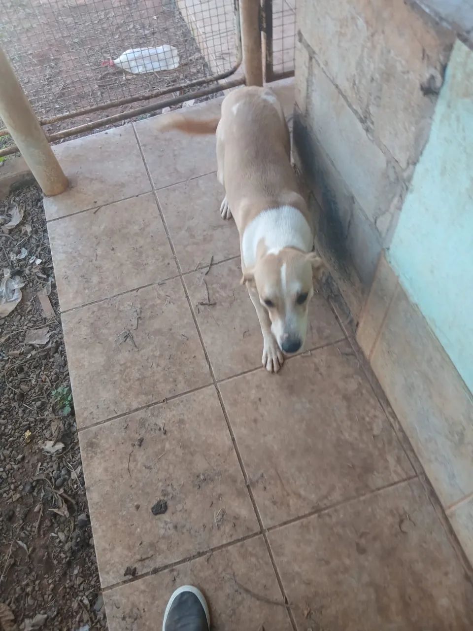DOANDO - Foto 2