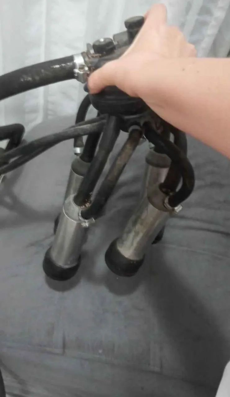 Ordenhadeira com motor. Tudo funcionando - Foto 4