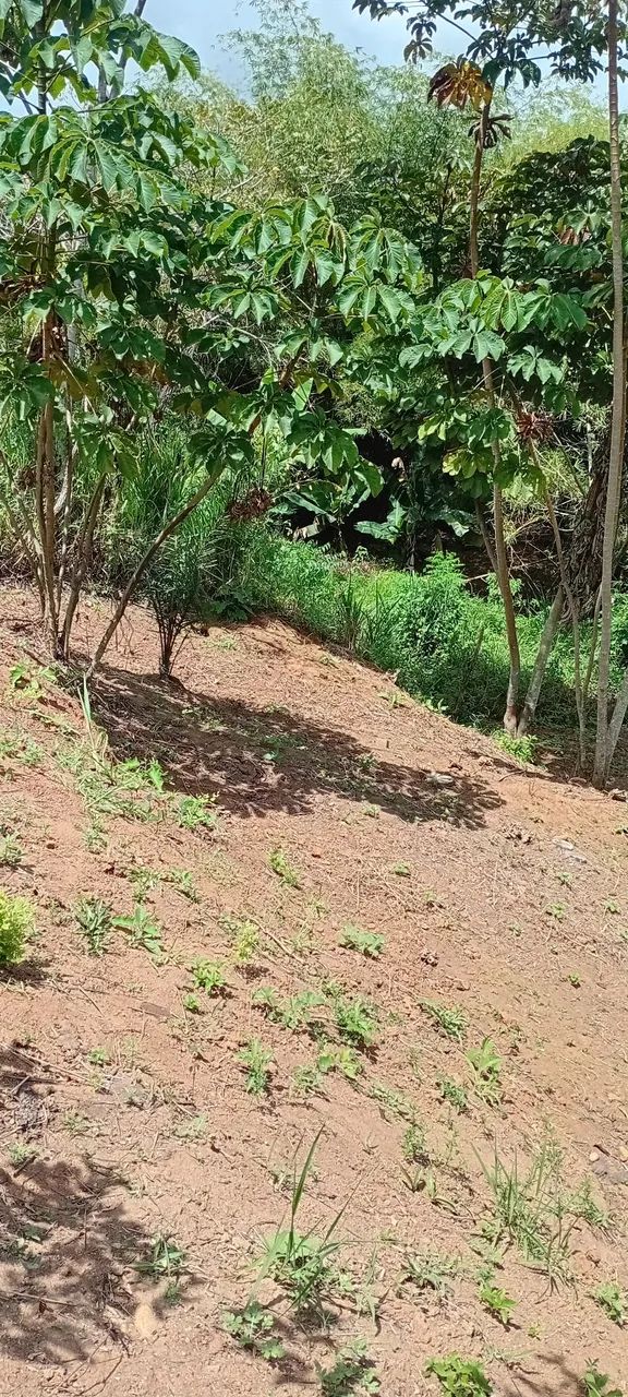 Mini sitio - Foto 4