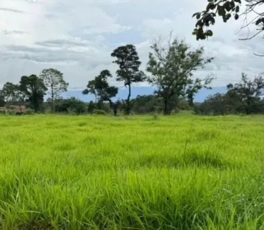 Área de 3 alqueires a venda 
