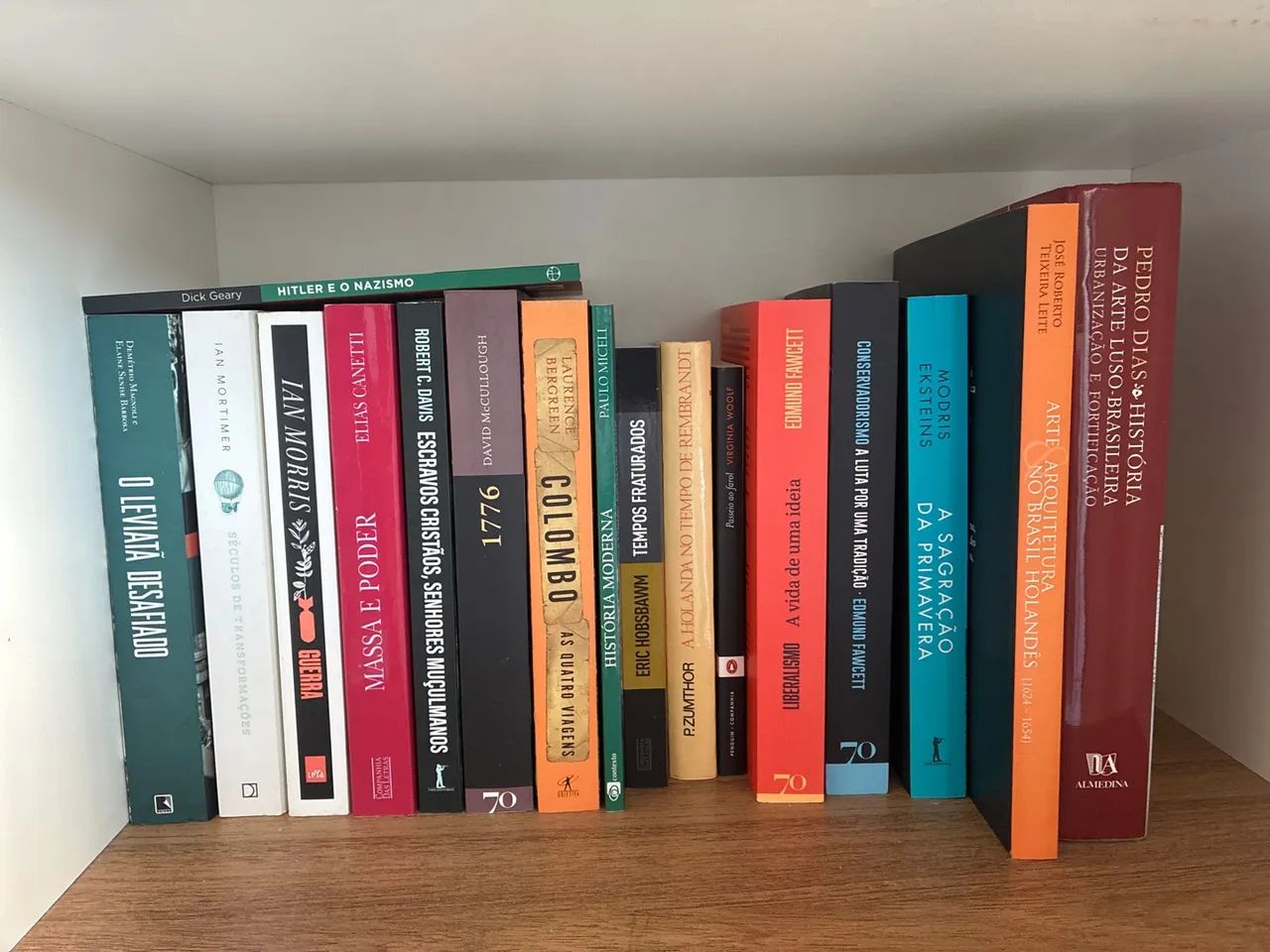 Combo 17 livros diversos 