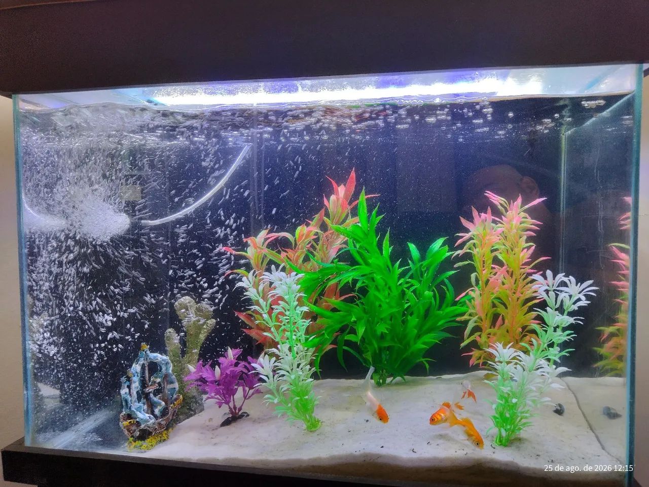 Aquário Super Conservado e Completo!