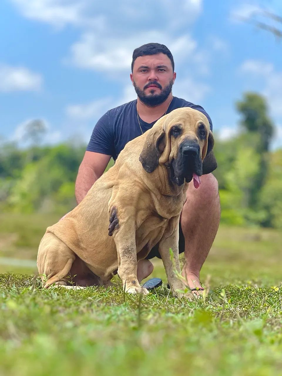 Filhote de fila brasileiro  - Foto 4