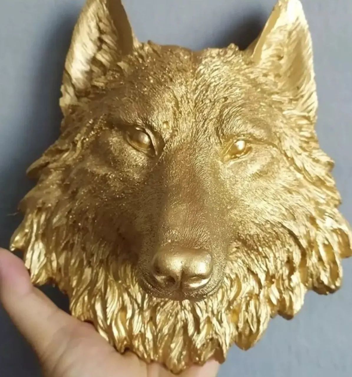 MASCOTE PAYSANDU, "CABEÇA LOBO"