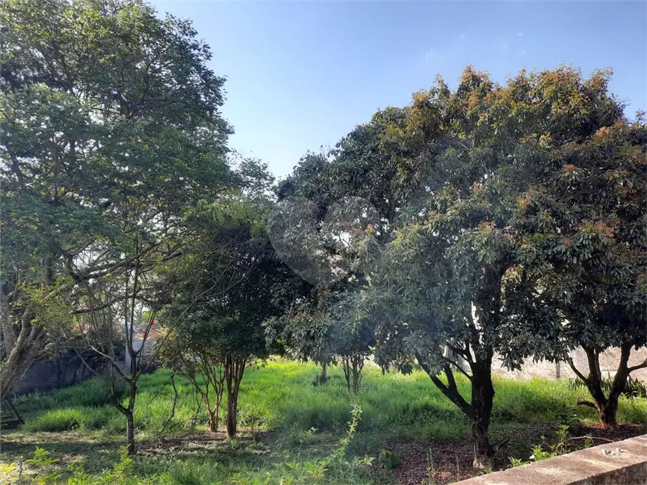 Terreno à venda em Interlagos - SP - Foto 5