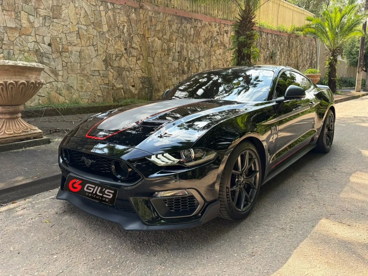 Ford Mustang Mustang MACH 1 5.0 V8 2021