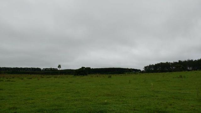 Otima fazenda com 73 alqueires na regiao de itapetininga