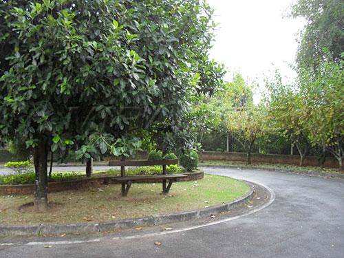 Terreno à venda em Serra da cantareira, São paulo cod:139366 - Foto 2