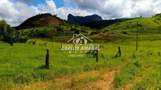 Fazenda à venda, , zona rural - carlos chagas/mg