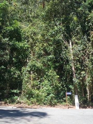Terreno à venda em Serra da cantareira, São paulo cod:274816 - Foto 3