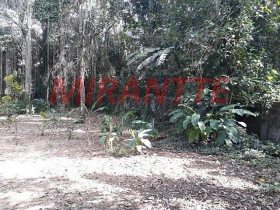 Terreno à venda em Centro, Ubatuba cod:309955 - Foto 2