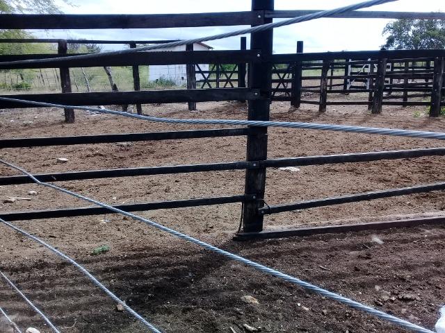 Belíssima Fazenda com casa boa e piscina na região rural de Riachão do Jacuípe Bahia - Foto 18