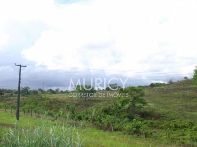 Terreno à venda em Nova candeias, Candeias cod:55593 - Foto 3