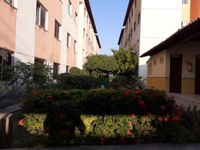 Serrinha - Apartamento 44,39m² com 2 quartos e 1 vaga - Foto 4
