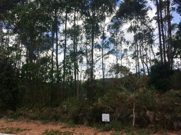 Lote com 1905m² no condomínio villagio verdi em domingos martins - Foto 19