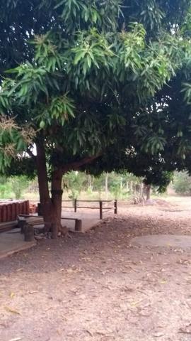 Chácara em (barão de melgaço a venda )