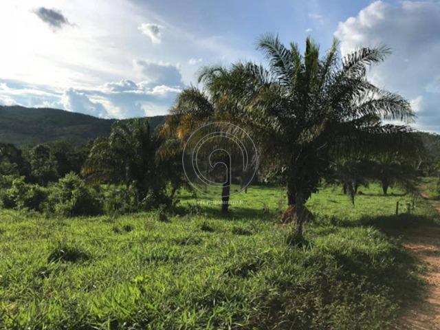 Chacara região da serra de são vicente - Foto 9