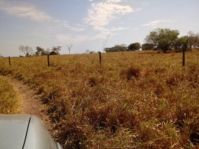 Fazenda 1455 hectares, em Acorizal, formado 900 hec - Foto 7