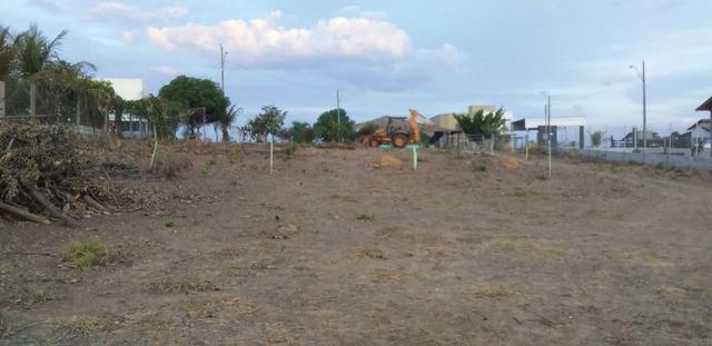 Chácara com casa sede, árvores frutíferas, 2.500m², 40 minutos de Taguatinga! - Foto 7