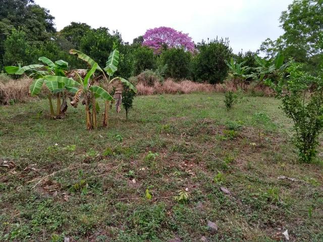 Chácara em (barão de melgaço a venda ) - Foto 9