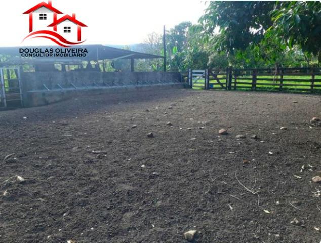 Sitio de 23 Alqueires em Pedregulho