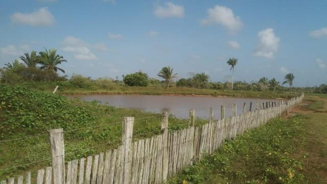 Fazenda - Foto 3