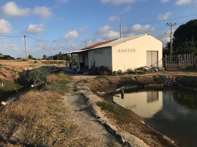 FA0002 Fazenda de camarão em Aracati, Negócio Montado, 110.000m² de terreno - Foto 13