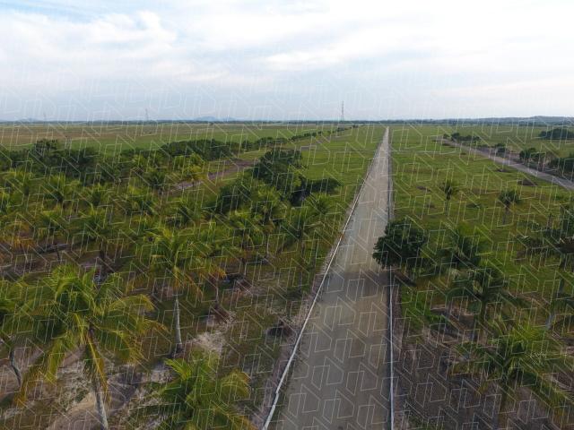 Lotes há 3km da praia em Unamar 04 - Foto 2