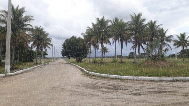 Comemore o Ano Novo - Comprando um Terreno com preço imbatível - 01 - Foto 2
