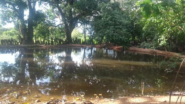 Chácara em Cristianópolis - Foto 10