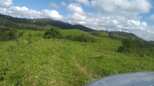 Fazenda Cristianópolis - Foto 4