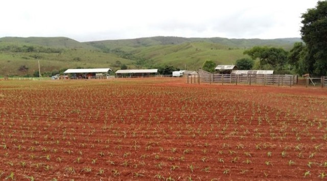 Fazenda com 100ha pra soja, em Bem Localizada!! - Foto 9