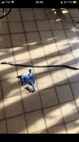 Coleira para gato de 7 meses a 1 ano