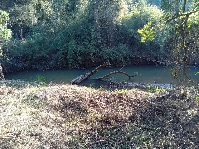 foto - Mandirituba - Área Rural (Areia Branca dos Assis)