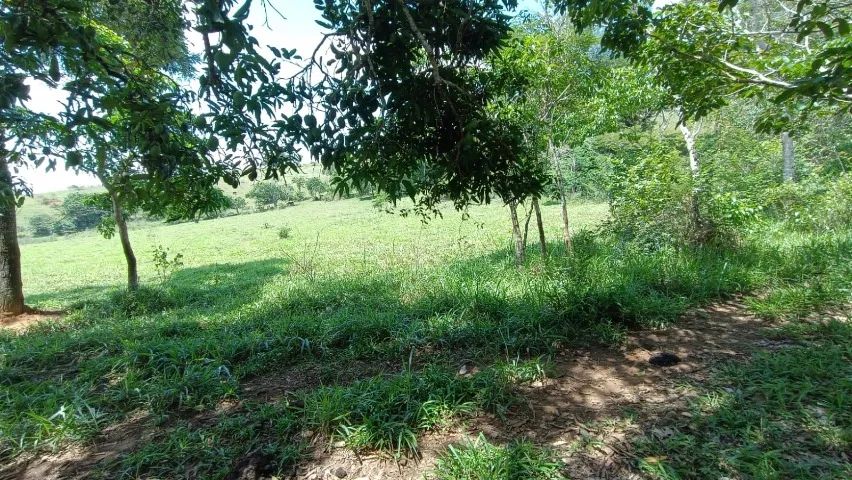 Ótimo sítio venda  em Descoberto 40 hectares - Foto 5