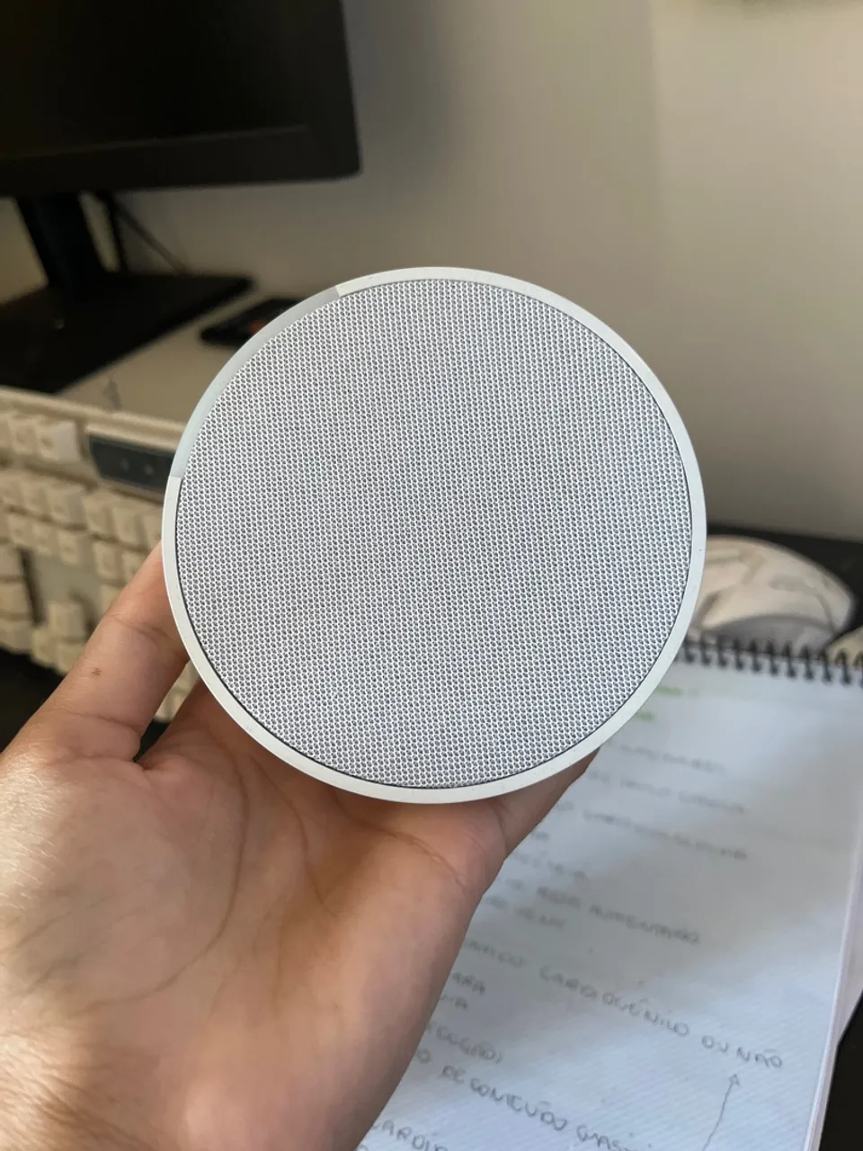 Alexa echopop