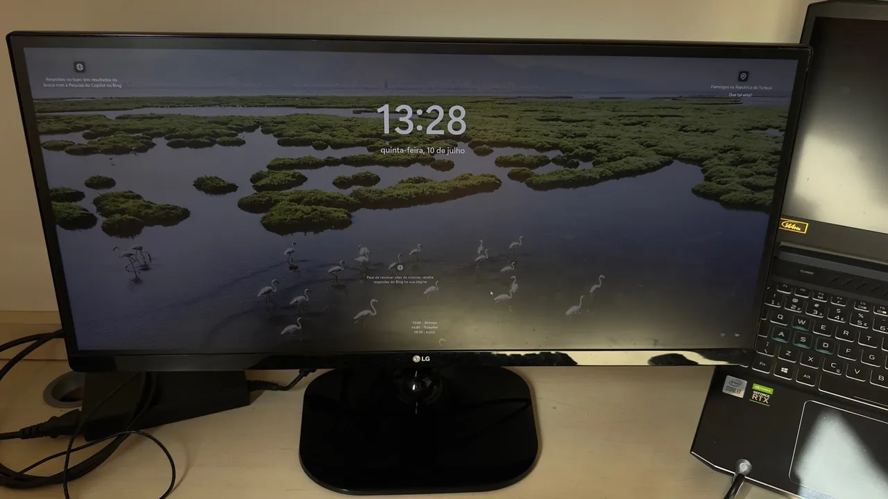 Monitor LG