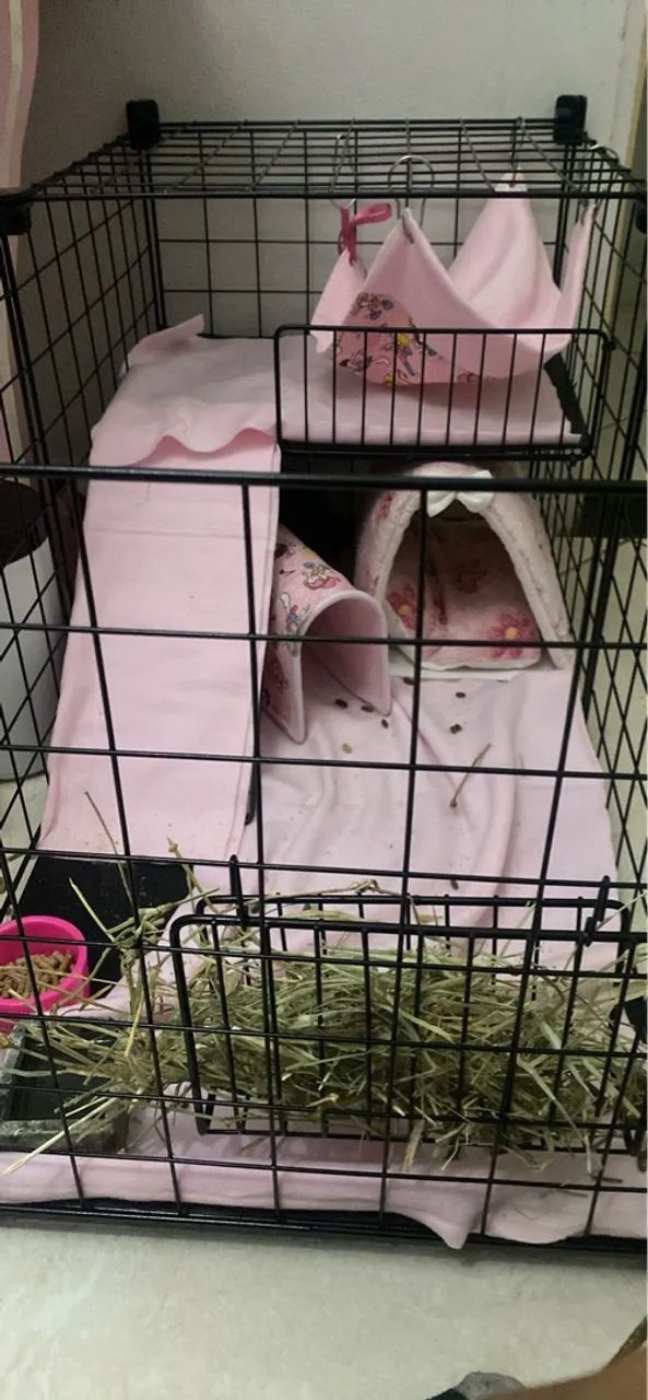 Casinha dois andares + porquinho da índia  - Foto 2