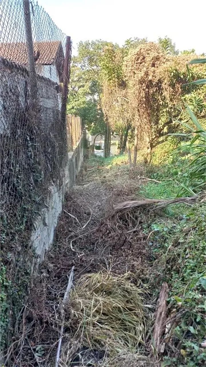 Terreno à venda em Vila tramontano - SP - Foto 5