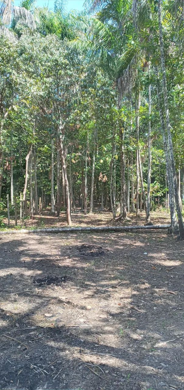 Terreno lote  13 × 80 comunidade castela