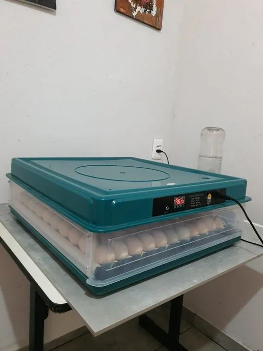 Chocadeira 130 ovos - Foto 4