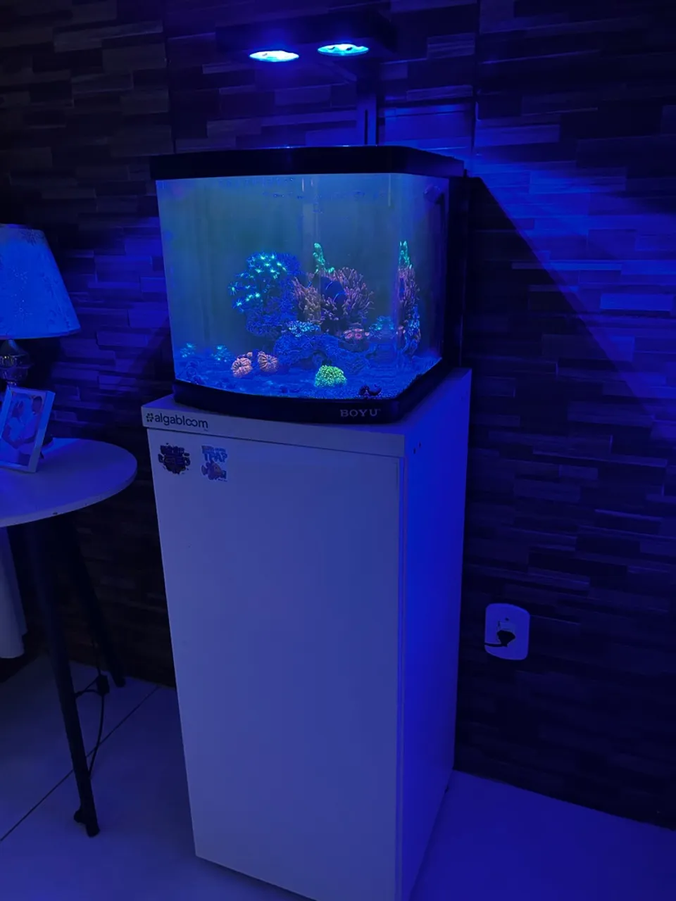 Aquário Marinho completo