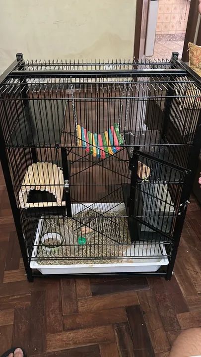 Gaiola para Roedores, Grande 3 Andares -Gaiopar 296 - Foto 4