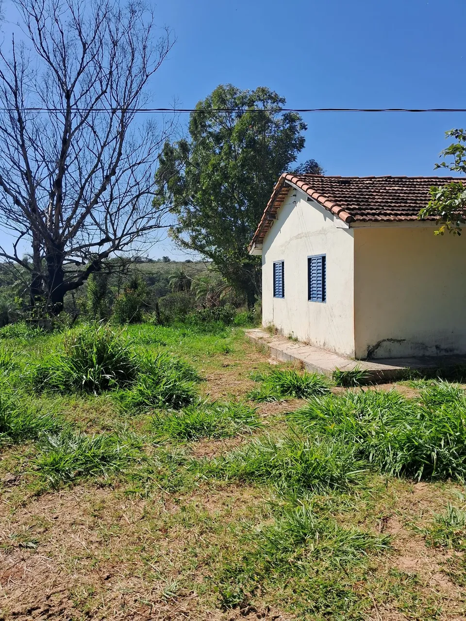 FAZENDA 118,6226 HECTARESTIROS MG