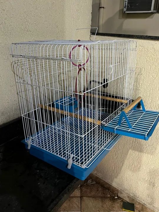 Gaiola para calopsitas  - Foto 6