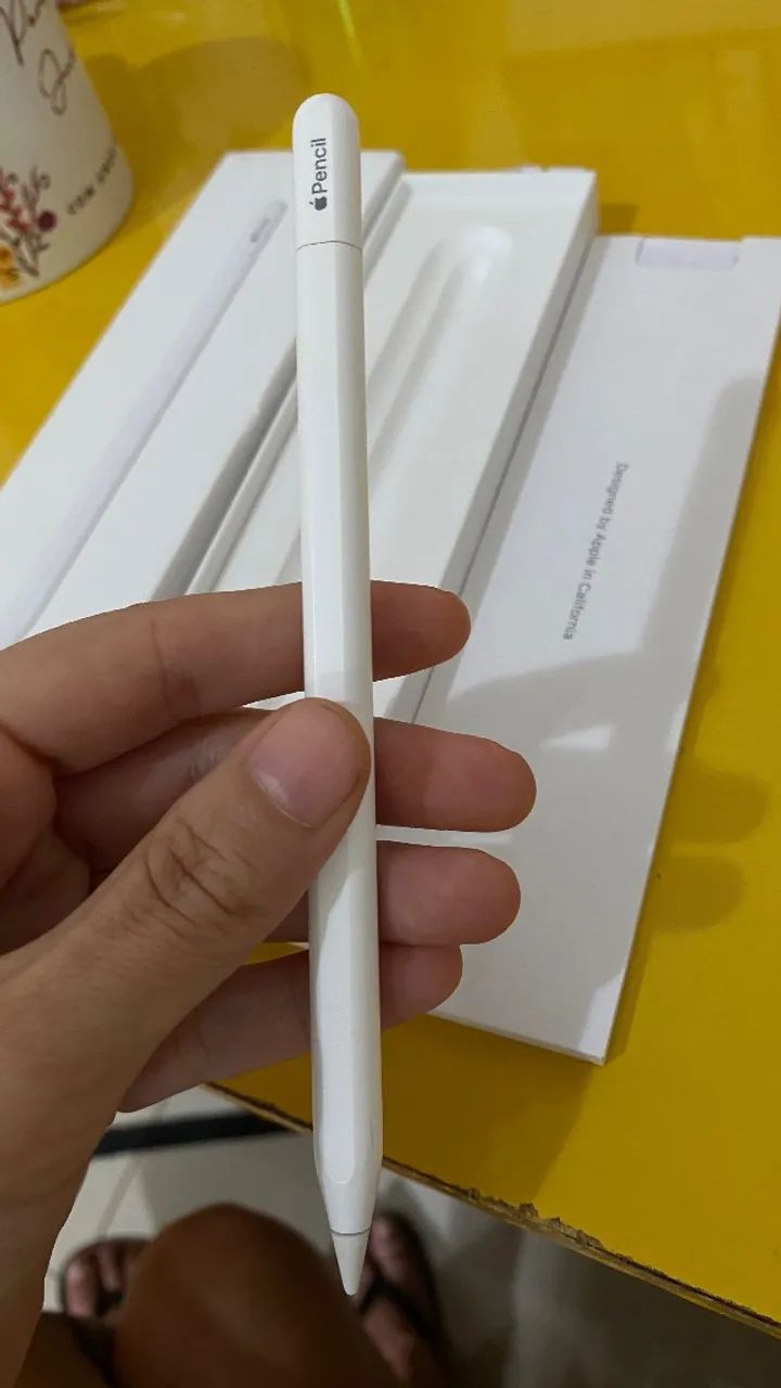 Apple Pencil USB-C Original - Nova, NF-e, Ideal para iPad