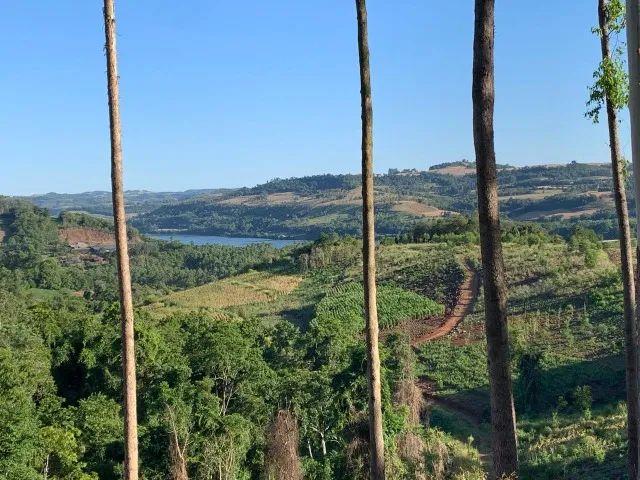 Sitio 6,4 Ha Palmitos - SC - Ao lado ponte rio Uruguay - Foto 6