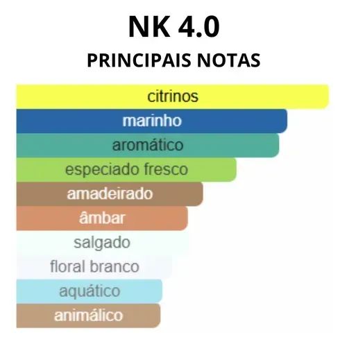 Nk 4.0 Eau De Parfum Nk Perfumes Masculino 100ml - Foto 3